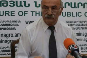 HayAntar Head Says More Resources are Needed to Fight Illegal Felling