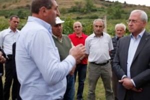 Տավուշի մարզը պատրաստ է խաղողի մթերման մեկնարկին. Սերգո Կարապետյանն  այսօր հետևել է իրականացվող աշխատանքներին