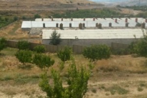 Ռուսական հավկիթը` հայկականի անվան տակ. ՊԵԿ-ը խախտումներ է հայտնաբերել «Հավիցա» ՍՊԸ-ում