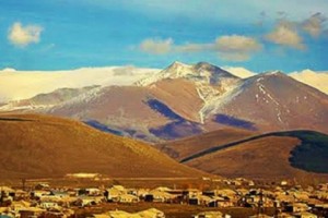 Заявление Совета Армянских Общественных Организаций