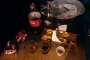 Վստահված անձինք` առանց անուն, ազգանունների և ալկոհոլ Սևանի 23/01  
ընտրատեղամասում
