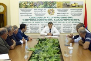 Գյուղատնտեսության նախարարն ընդունել է Քաղցրաշենի և Այգեզարդի խաղողագործներին