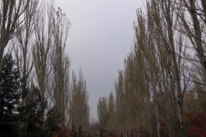Осень