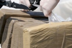 Italy: Sex and Drug Traffickers Arrested
