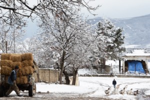Ձմեռը Նորագյուղում