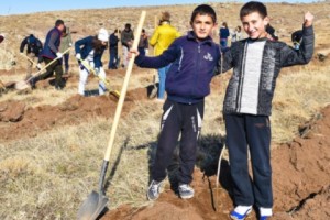 Armenia: 250,000+ Trees Provide Local Benefits and Support Global Climate Fight