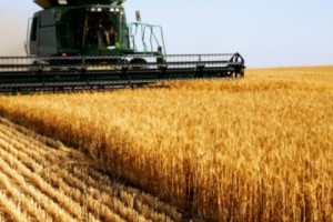 6%- ով նվազել է գյուղատնտեսական արտադրանքի ծավալը