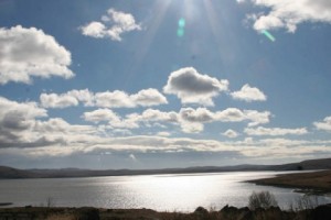 «Արփի լիճ» ազգային պարկի տարածքից 140 հեկտար կհատկացվի Շաղիկ գյուղին, որպես խոտհարք