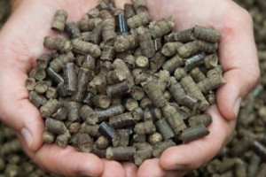 Small Village in Armenia: Turning Biological Waste into Fuel Pellets