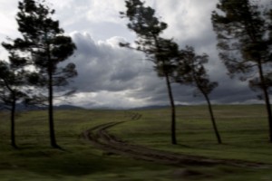 Նոր ինքնորոշումից մինչև անկախության ճանաչում՝ տարածքային զիջումների դիմաց. ԼՂ 
հիմնահարցը 
նախընտրական ծրագրերում