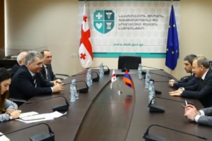 Վրաստանում քննարկվել են առողջապահության ոլորտի ֆինանսավորման, կառավարման և այլ հարցեր