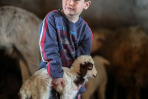 Father of Four Boys Living in the Back of a Barn: “I’ll accept any work for my kids”