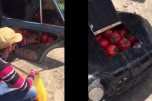 3 ամսում  մոտ 15 տոննա գյուղմթերքի ապօրինի ներկրման փորձ է կանխվել
