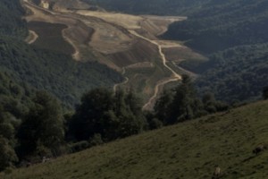 Կուսումնասիրվեն ընդերքօգտագործման լիցենզիաներն ու ներդրումների 
պարտավորությունները