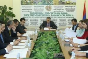 Տեղի է ունեցել Հայաստանի խաղողագործության և գինեգործության հիմնադրամի խորհրդի հերթական նիստը