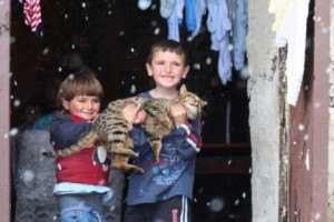 «Հետքի» հրապարակումից հետո Սևանի սոցիալական գործակալության պետն ազատվել 
է աշխատանքից