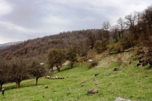 Armenia's Kalavan Village: A Community Development Model for Others