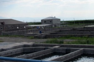 ԱՄՆ ՄԶԳ-ն մեկնարկել է նոր ծրագիր Արարատյան դաշտում