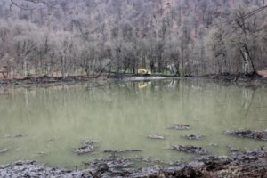 Company Fined $1,000 for Damaging Lake in Dilijan National Forest; Local Group Says ‘Not Enough’