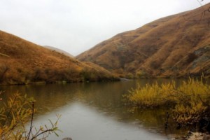 Экологи бьют тревогу: озеро Гомк высохло. Рыбоводческая компания утверждает обратное