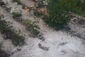 В Армавире выпал сильный град