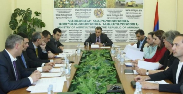 Armenian Government to Allocate 144 million AMD to Grape/Vintners Foundation