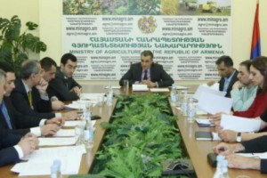Armenian Government to Allocate 144 million AMD to Grape/Vintners Foundation