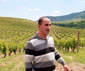 The Avetisyan Family of Togh, Artsakh: Making Wine Against the Backdrop of War