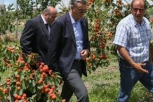 Գյուղնախարարությունը, շփոթելով իրական սեփականատիրոջը, 25 տարով հողամաս 
հատկացրեց ընկերությանը
