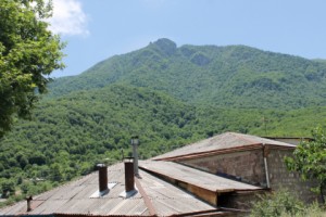 Անտա՞ռը պահեն, թե՞ ժողովրդին. գյուղն առաջարկում է իր լուծումը