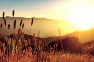 Armenia: Stay Out of the Sun Tomorrow