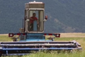 Armenia: One in Seven Survive on Bread and Potatoes