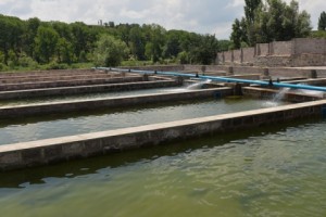 62 млн драмов – Госкомитету водного хозяйства 

