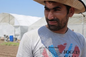 Armenia: Gevorgyan Family Gears Up for Another Broccoli Crop