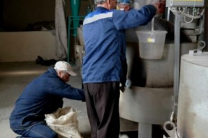 Տնտեսական ակտիվությունն առաջին կիսամյակում 6.1%-ով աճել է