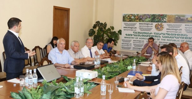 Գյուղնախարարությունում քննարկվել է տոհմաբուծության զարգացման 
ռազմավարությունը