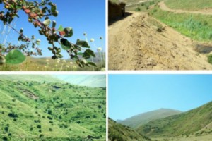 Հայ-ադրբեջանական սահմանին ոսկի կորոնեն. թիրախում Սիսկատար-Արտավան 
հանքային դաշտն է
