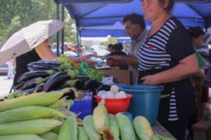 Торговля без пперекупщиков: на проспекте Маштоца открылся сельхозрынок