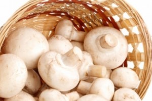 29 People in Armenia Sick from Eating Poisonous Mushrooms