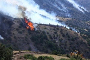 Environmentalists Say Armenia’s Government Wasn’t Ready for Wildfires