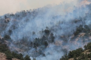 Armenia: Khosrov Wildfire Continues to Burn