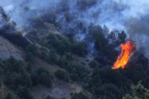The Khosrov Wildfire: Are the Media in Armenia Asking the Right Questions?