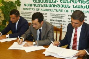 Մթերող ընկերություններին արտոնյալ պայմաններով վարկ կտրամադրվի