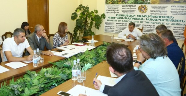 Քննարկվել են Հայաստանի խաղողագործության և գինեգործության հիմնադրամի առաջիկա ծրագրերը 
