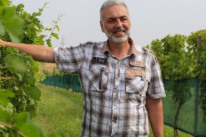 Ванское солнце в Сасунике: виноделие в Армении имеет большой потенциал