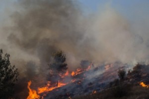 Flames from Defective Car Caused Artavan Fire, Says Investigative Committee