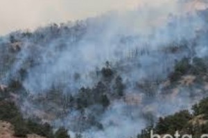 Khosrov Forest: Fewer Smoldering Fires