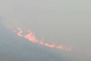 Byurakan Wildfire Destroys Twenty Hectares