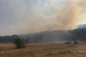 В Бюракане горит лес