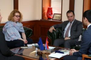 Պաշտպանության նախարարն ընդունել է ԵԽ երևանյան գրասենյակի ղեկավարին